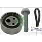 530049010 Ina Комплект ремня ГРМ RENAULT
