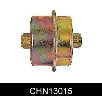 CHN13015 