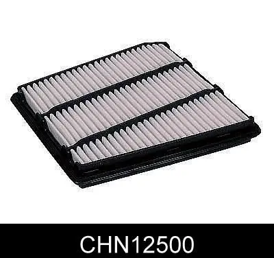 CHN12500 