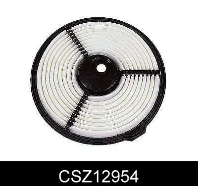 CSZ12954 