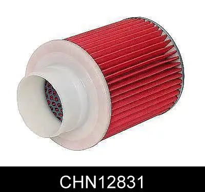 CHN12831 