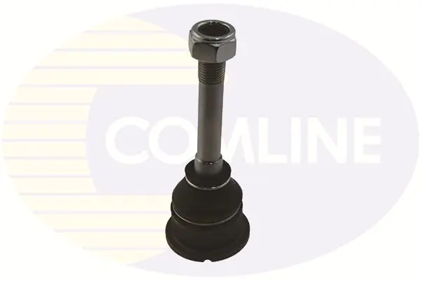 CBJ7069 