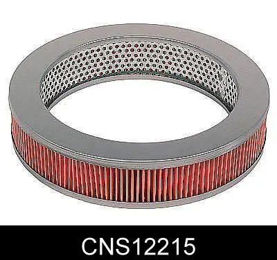 CNS12215 