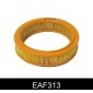 EAF313 