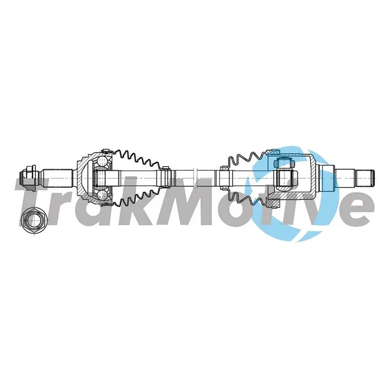  TrakMotive 