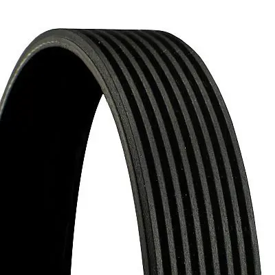 8PK1255 Ремень ручейковый CONTITECH