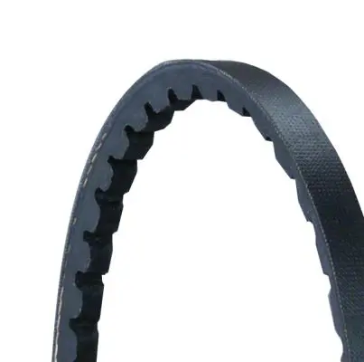 CONTINENTAL AVX10X800 V-Belt