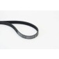 CONTINENTAL 5PK868ELAST