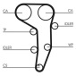 CONTINENTAL CT1051K1