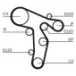 Continental CT1134WP1