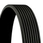 CONTINENTAL 8PK1755