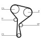 CONTINENTAL CT1035WP3
