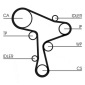 CONTINENTAL CT1168WP5