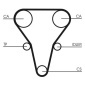 CONTINENTAL CT1069