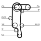CONTINENTAL CT957WP1