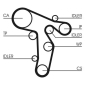 CONTINENTAL CT1134