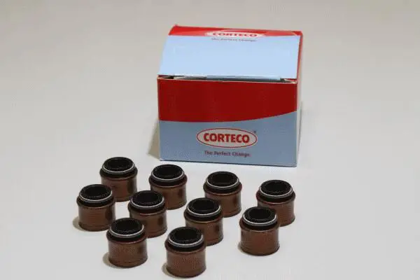 CORTECO 19036001 Комплект прокладок