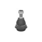 49197346 CORTECO Ball Joint