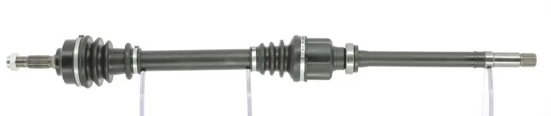  CEVAM 