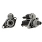CEVAM 3059