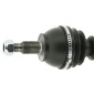 CEVAM 5038