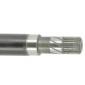 CEVAM 5532