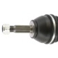 CEVAM 5022