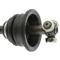 CEVAM 5022