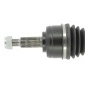 CEVAM 7419