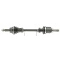 CEVAM 5268