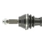 CEVAM 5268