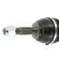 CEVAM 5588