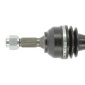CEVAM 5099