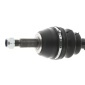 CEVAM 5026