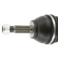 CEVAM 5741