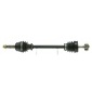 CEVAM 5454