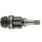 CEVAM 5933