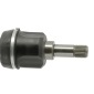 CEVAM 5174