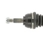 CEVAM 5530