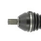 CEVAM 50427