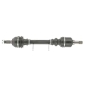 CEVAM 5480