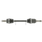 CEVAM 5638