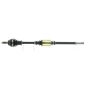 CEVAM 5167