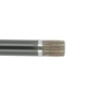 CEVAM 50438