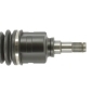 CEVAM 51237