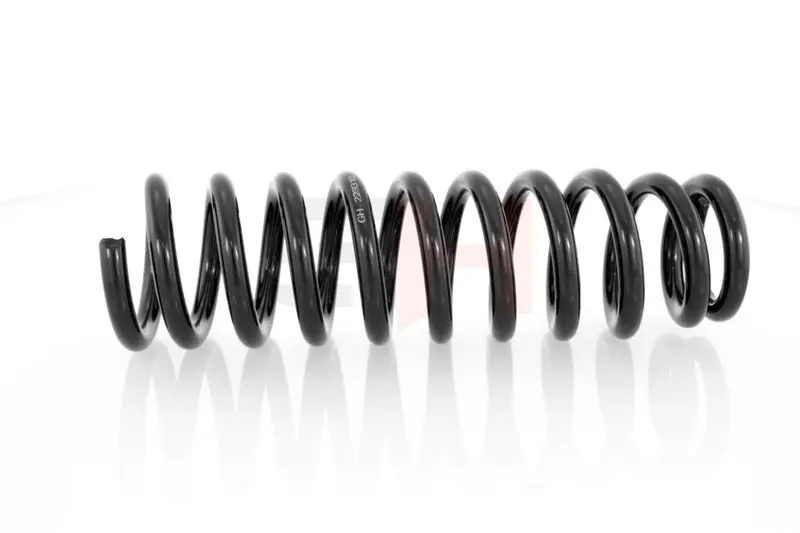 GH GH223310 Suspension Spring
