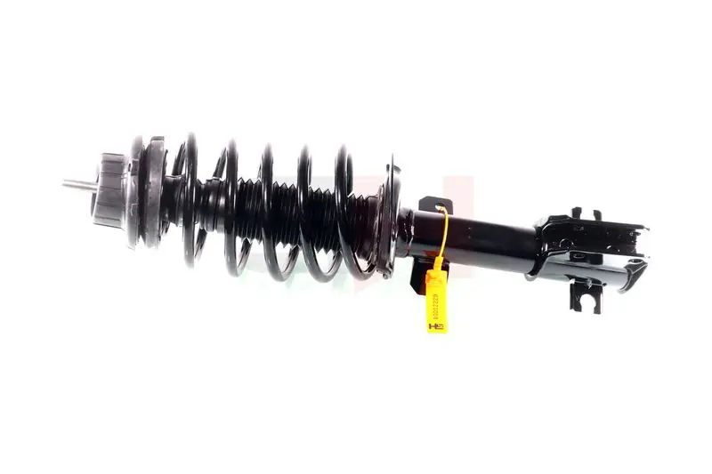 GH GH352366C02 Амортизационная стойка