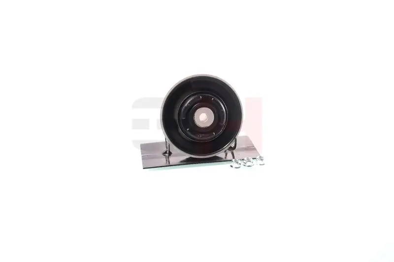 GH GH361560 Repair Kit, suspension strut