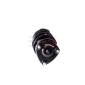 GH GH353503C02