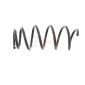 GH203617 Suspension Spring